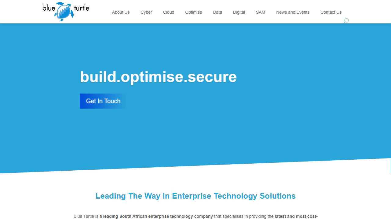 BLUE TURTLE TECHNOLOGIES (PTY) LTD website screenshot