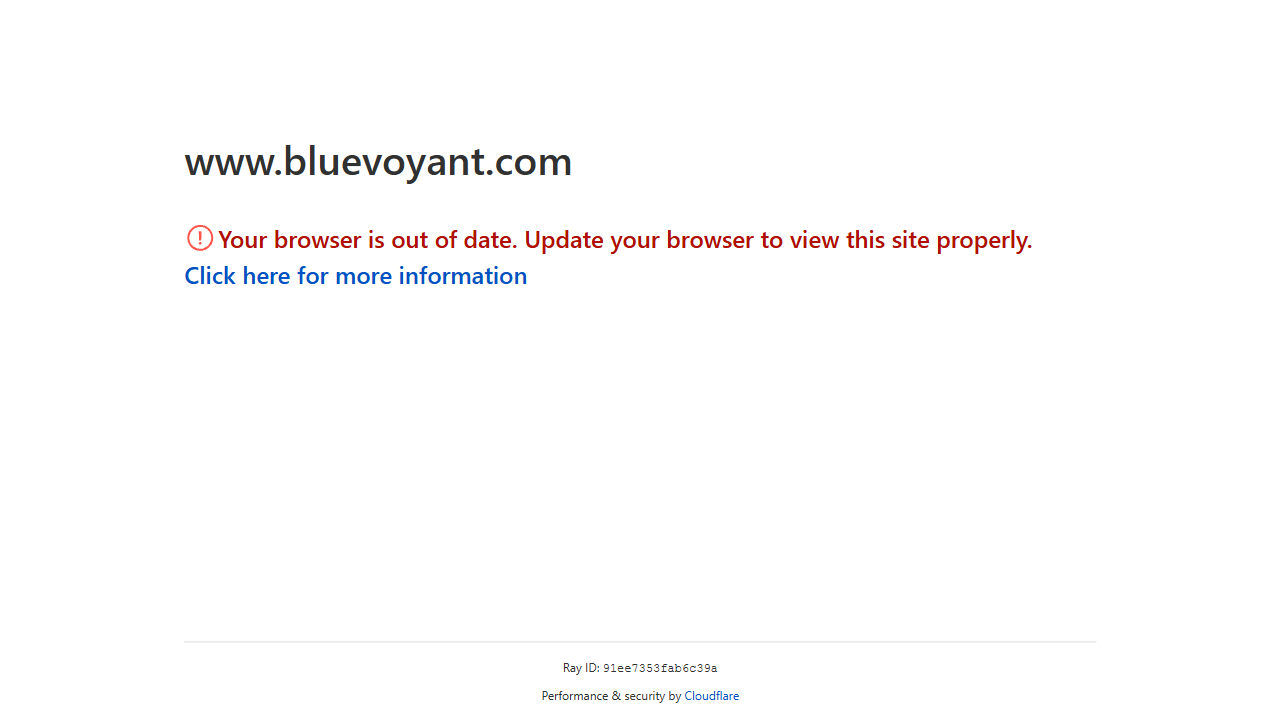 BlueVoyant Group website screenshot