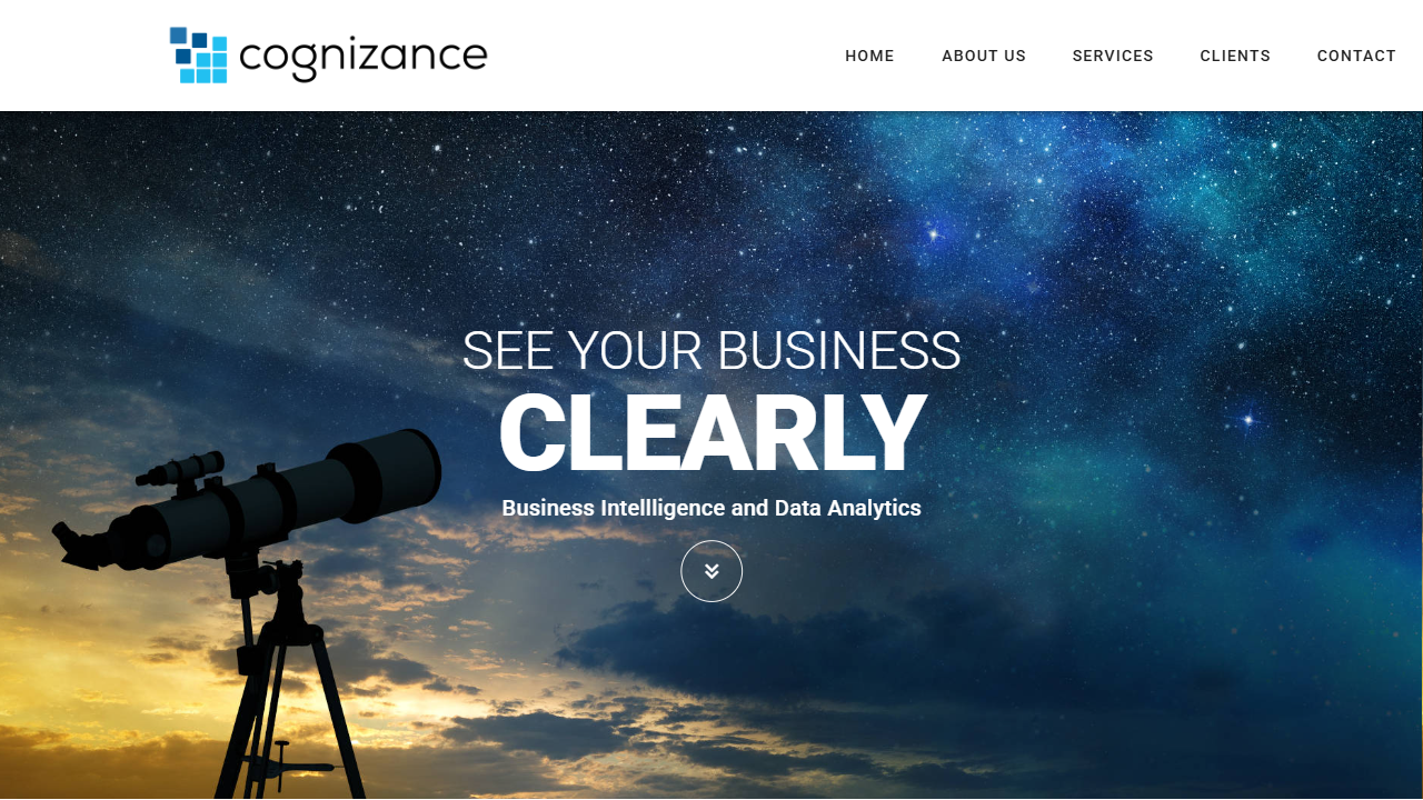 Cognizance Data Insights Pty Ltd website screenshot