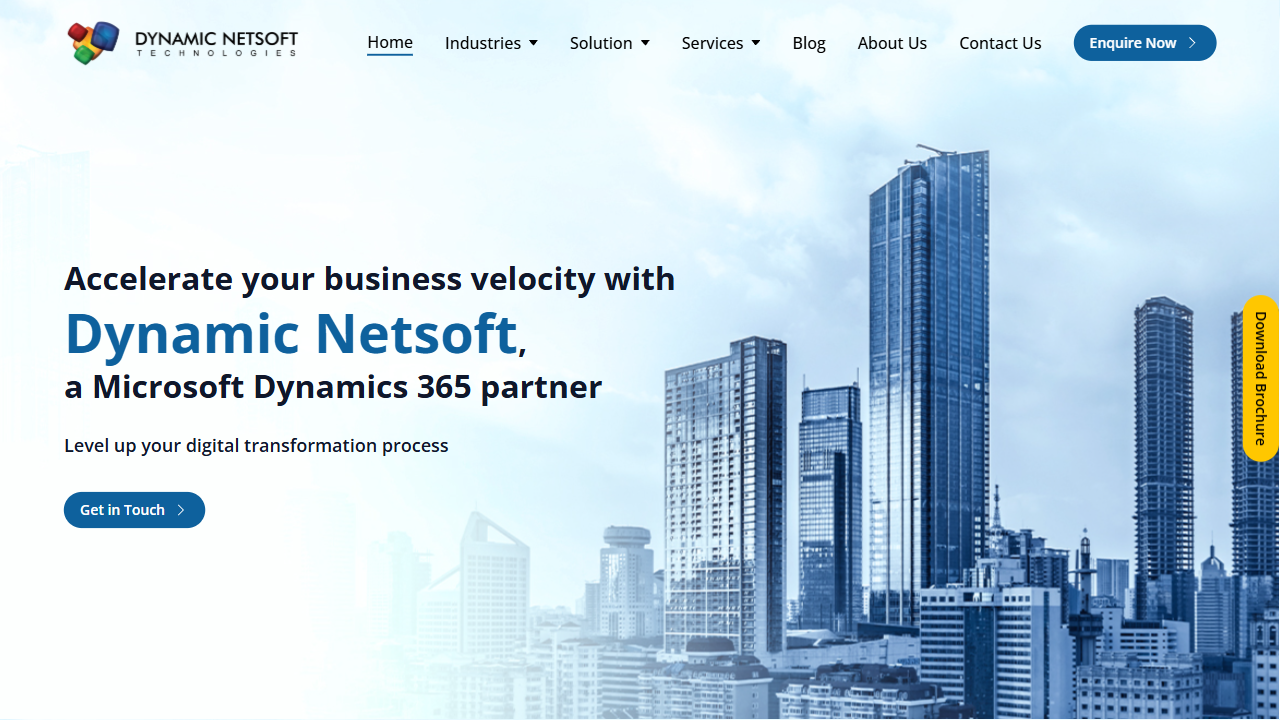 Dynamic Netsoft Arabia website screenshot