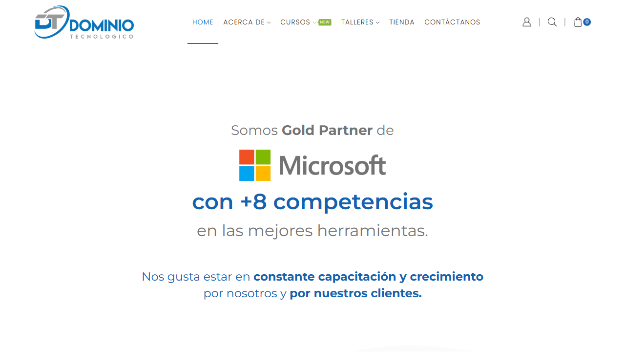 Dynamic Transformation Technologies, SA de CV website screenshot