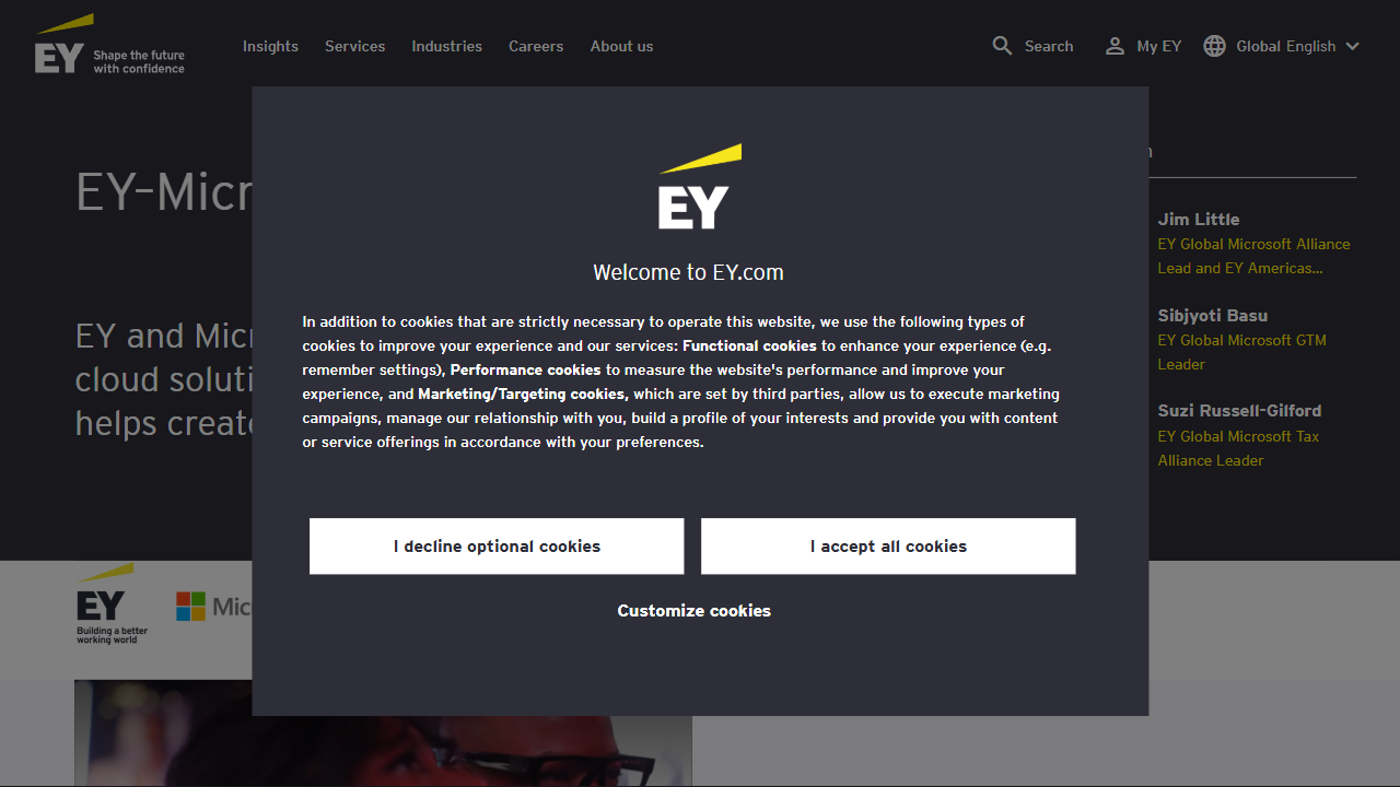 Ernst & Young LLP website screenshot