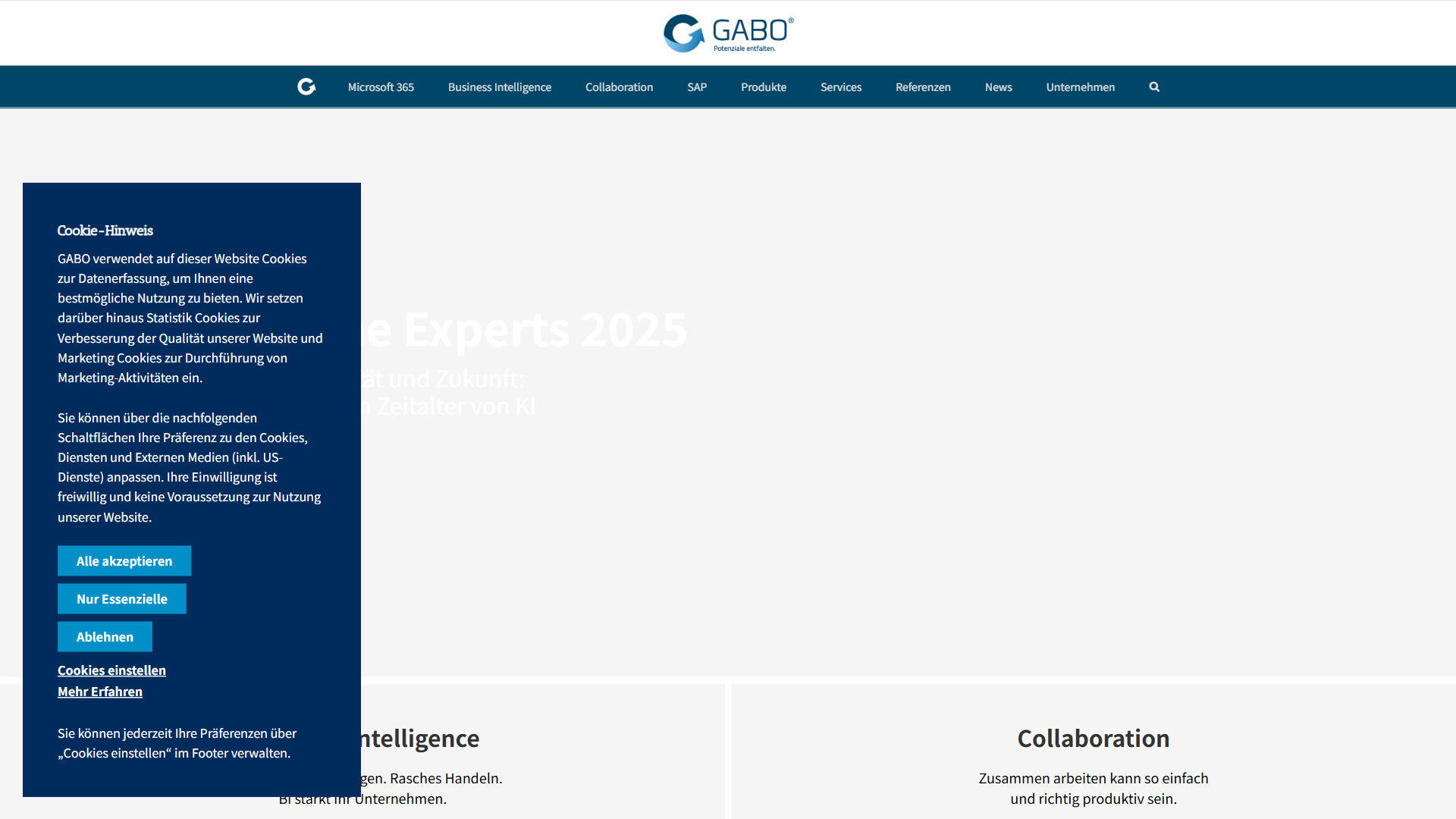 GABO mbH & Co. KG website screenshot