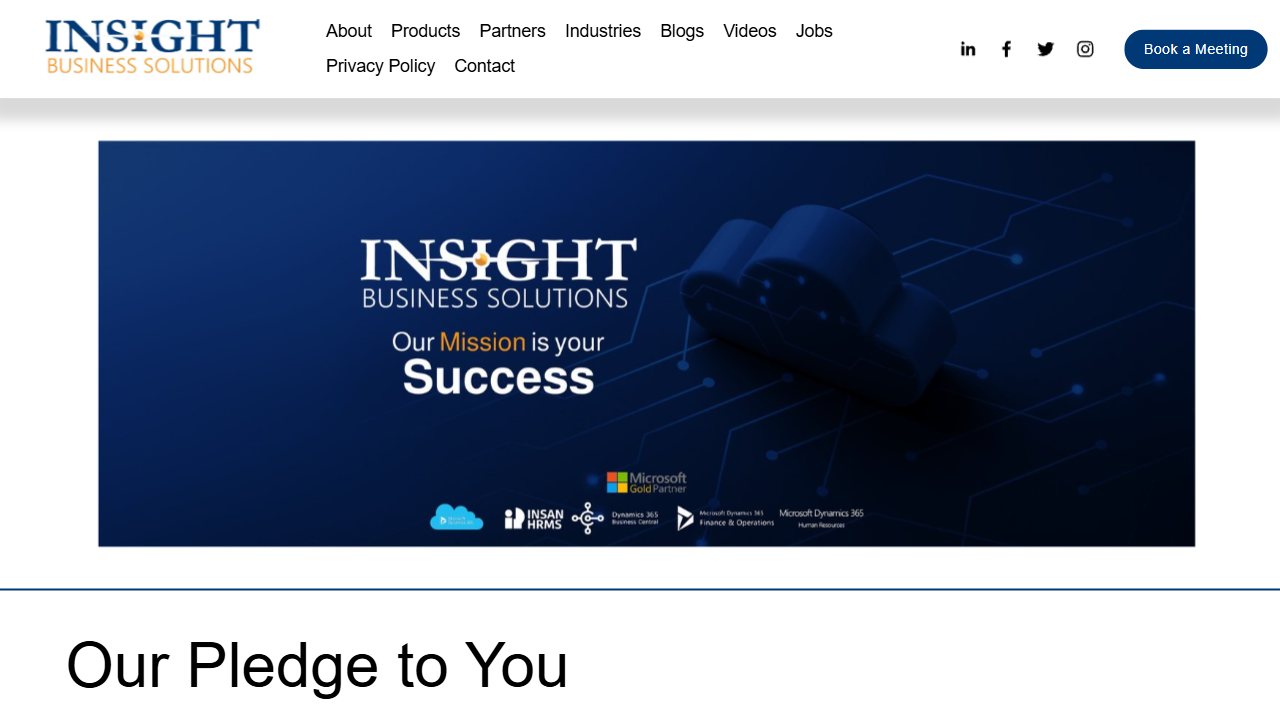 INSIGHT Business Solutions website screenshot