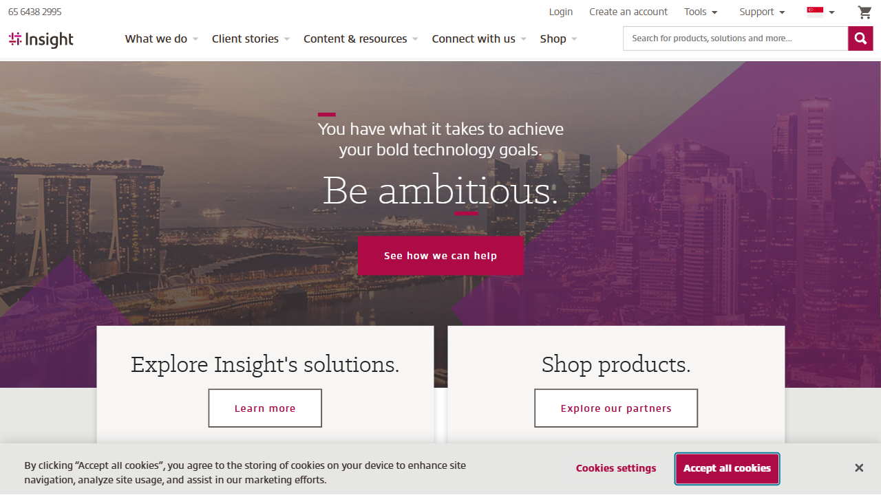 Insight Technology Solutions Pte Ltd website screenshot