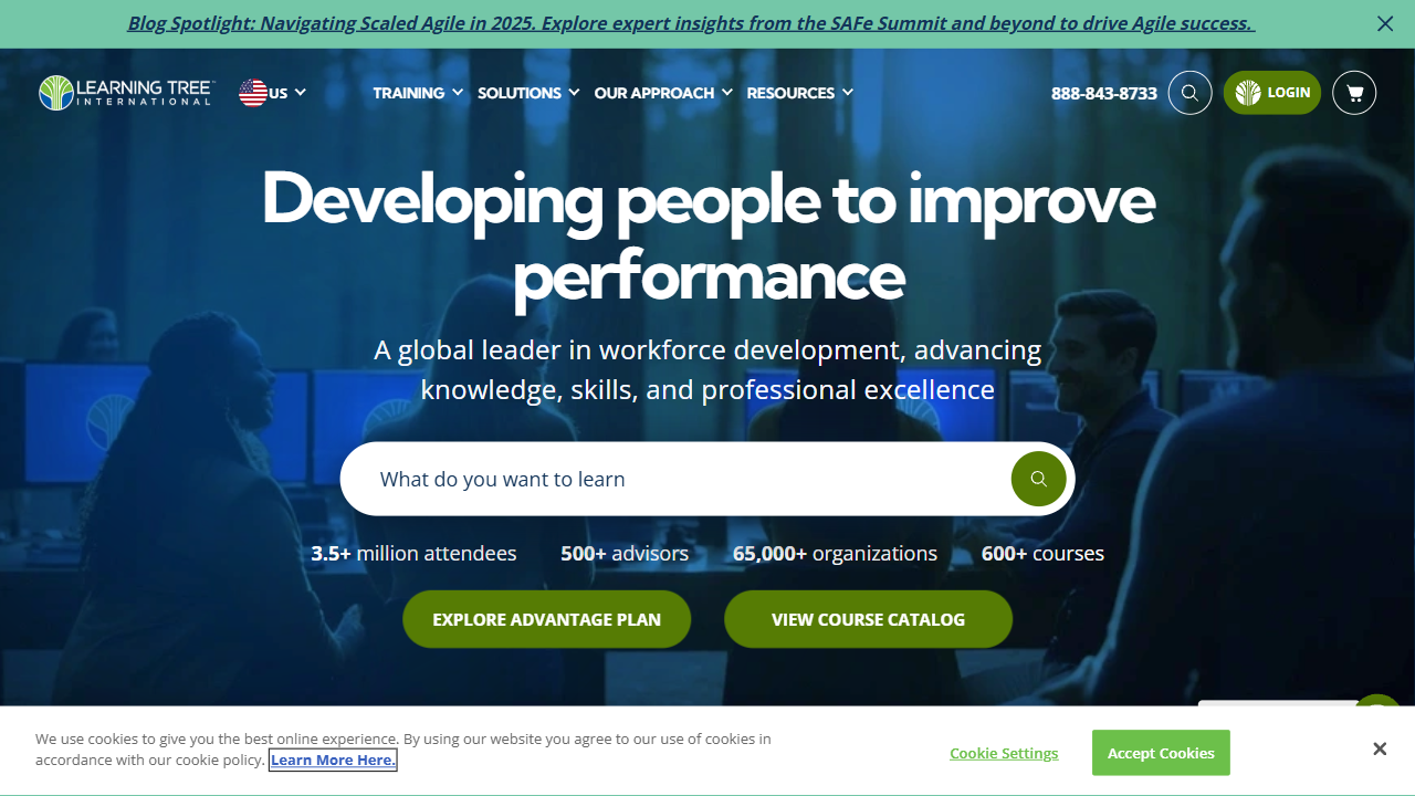 Learning Tree International Usa, Inc. website screenshot