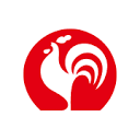 Bavely Computer Systems logo