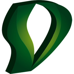 DIRECTION SYSTEMS LTDA logo