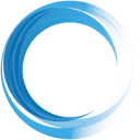 Immersant Data Solutions logo