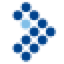 info-revision a/s logo