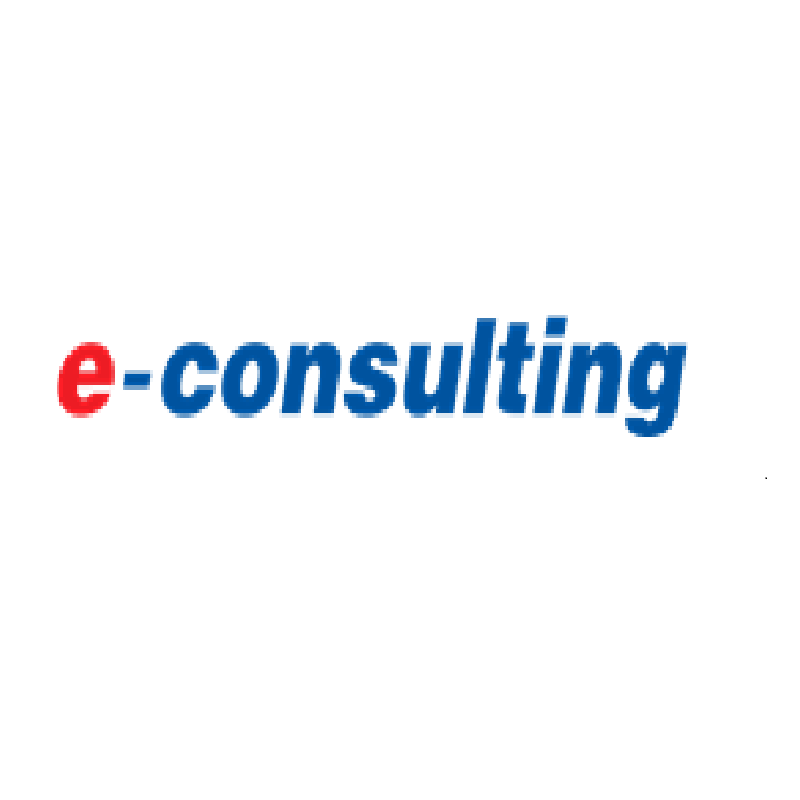 E-Consulting logo