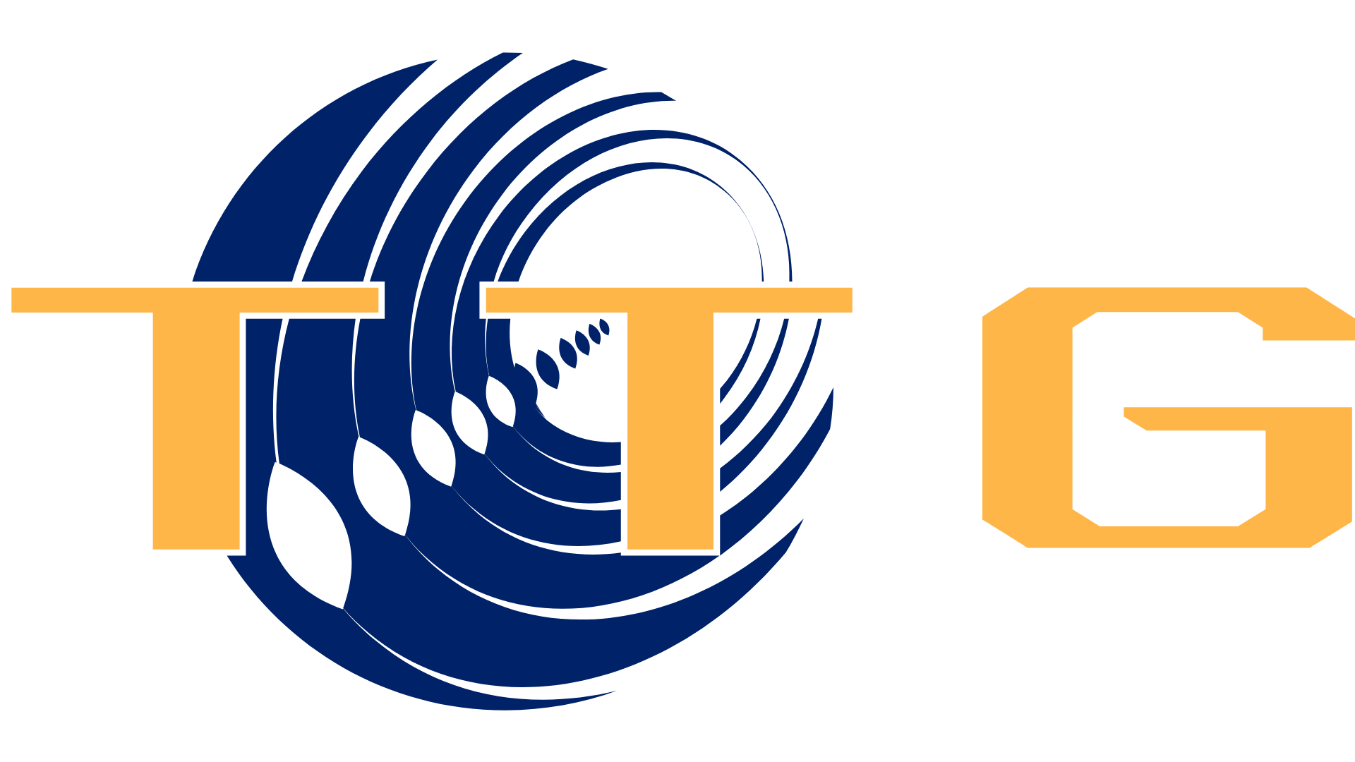 TTG Uluslararasi LTD logo