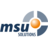 msu solutions GmbH logo
