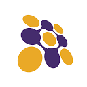 Naizak Global Engineering Systems logo