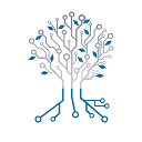 Netzer Consulting S.L. logo