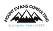Mount Evans Consulting LLC logo