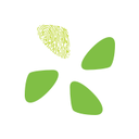 Essence International s.r.o. (Essence Business Solutions) logo