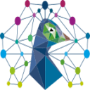 Peacock Insights B.V. logo