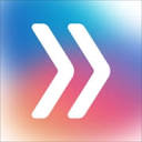 Perplex Digital B.V. logo