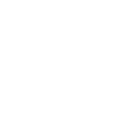 Saxonia Network Systems GmbH logo