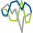 Smart Analytics Team Inc. logo