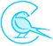 SOARSOFT INTERNATIONAL logo
