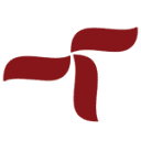 TeleNoc (Helcon IT) logo