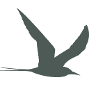 Ternpoint Solutions LP logo