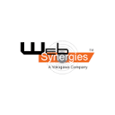 Web Synergies (India) Private Ltd logo