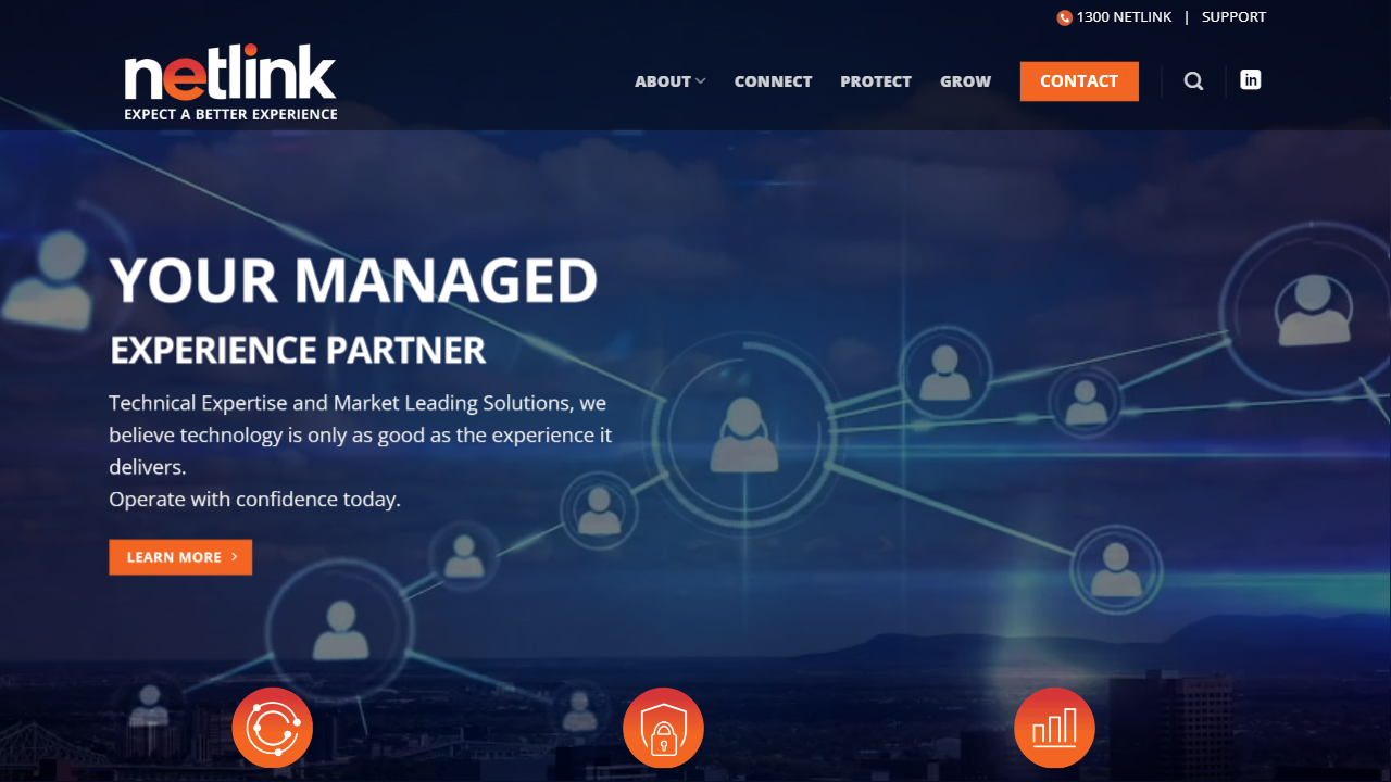 Netlink Group website screenshot