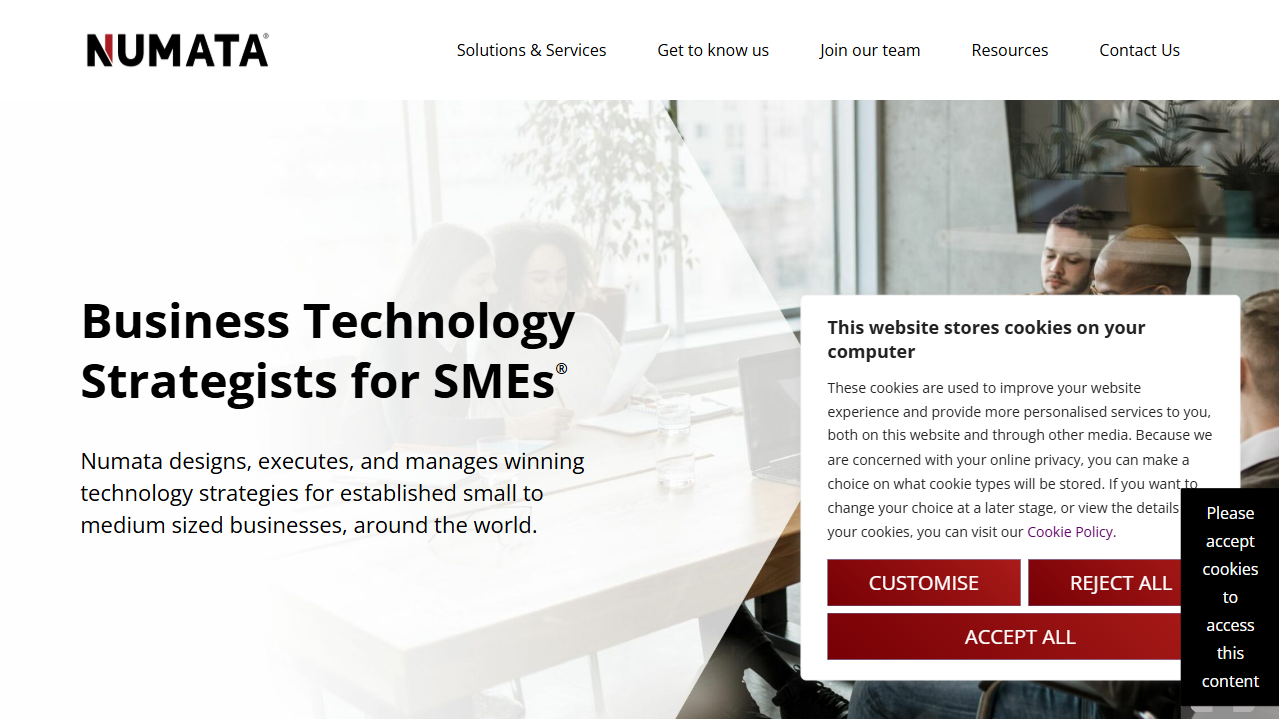 Numata Business IT website screenshot
