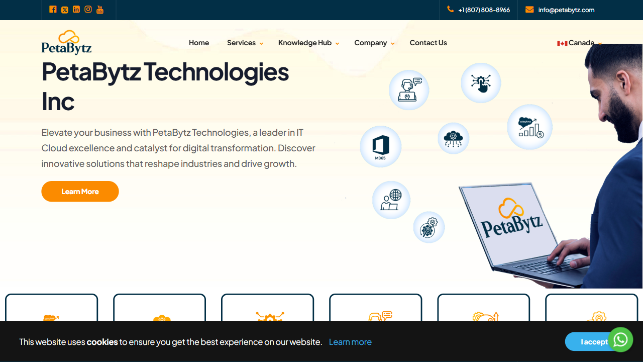 Petabytz Inc website screenshot