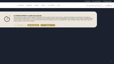 COSMO CONSULT AG website screenshot