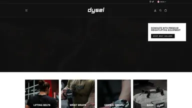 Dysel USA website screenshot