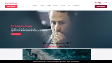 Expectus ehf. website screenshot