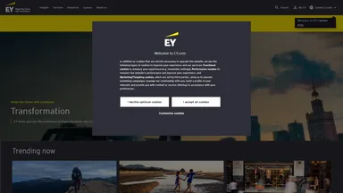 EY Advisory & Consulting Co Ltd website screenshot