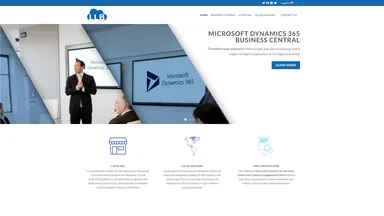 LL Business Solutions LLC website screenshot
