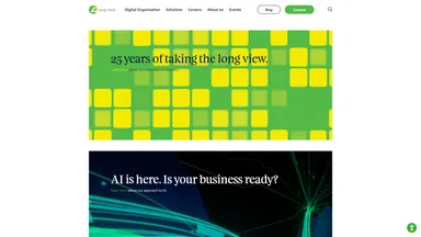 Long View Systems Corporation website screenshot