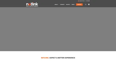 Netlink Group website screenshot