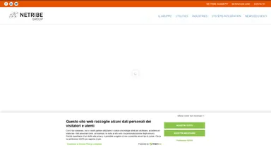 Netribe Business Solutions Srl website screenshot