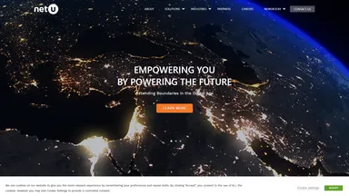 NetU Consultants Ltd website screenshot