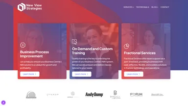 New View Strategies, Inc. website screenshot