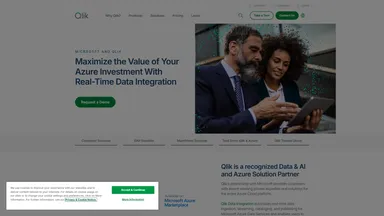 QlikTech website screenshot
