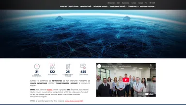 S.C. Net Brinel S.A. website screenshot