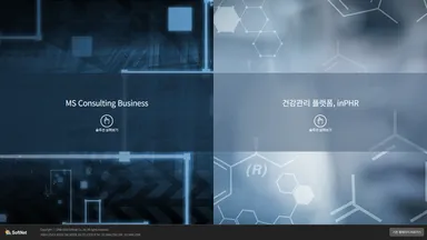 SoftNet website screenshot