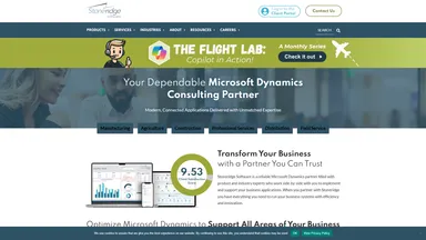 Stoneridge Software website screenshot