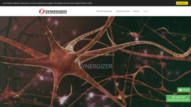 Synergizer RO website screenshot