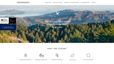 Ternpoint Solutions LP website screenshot