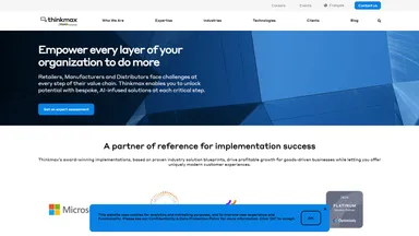 Thinkmax Consulting Inc. website screenshot