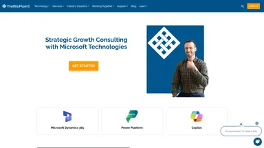 TrellisPoint LLC website screenshot
